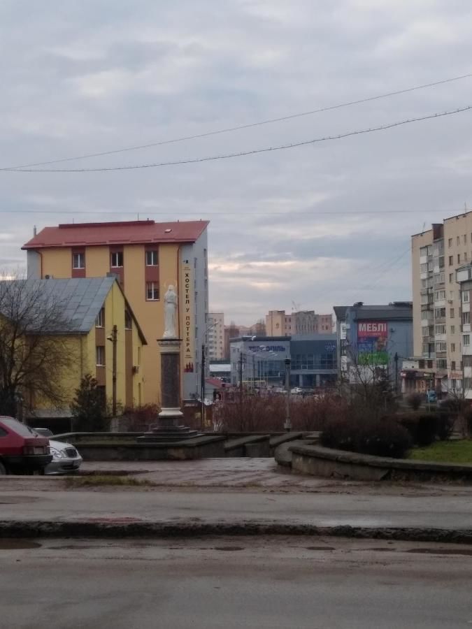 Хостелы У Поттера Тернополь-46